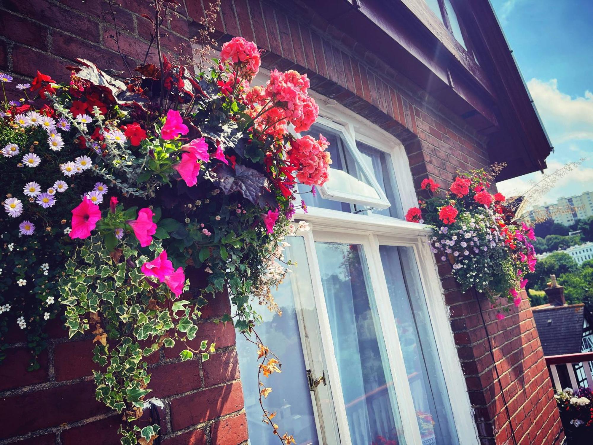 The Robin Hill Bed & Breakfast Torquay Exterior foto
